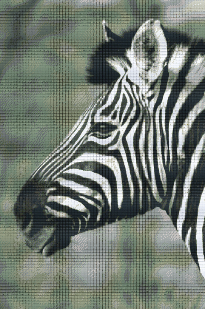 Zebra Thirty [30] Baseplate PixelHobby Mini-mosaic Art Kit image 0